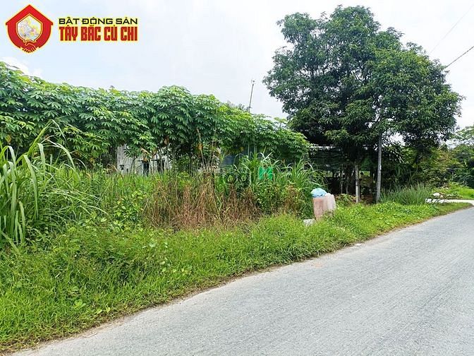 Hình ảnh Đất đường 684 - 20x34 - 300m2 thổ cư - xã Thái Mỹ - Củ Chi