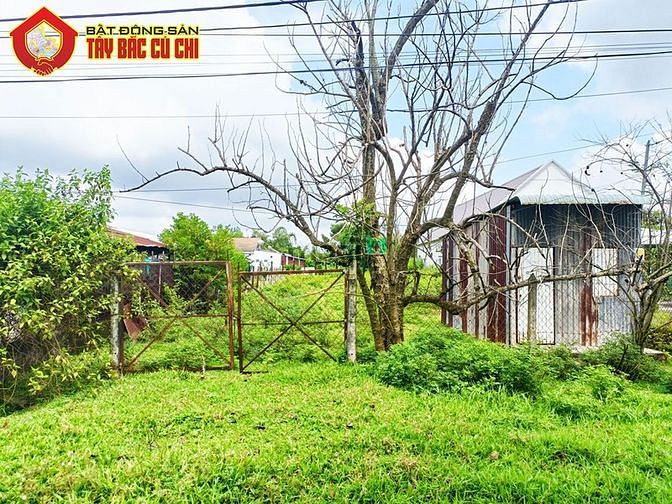 Hình ảnh Bán đất đường Trà Thị Xóm - 1012m2 - 13x77 - 200m2 thổ cư - Củ Chi