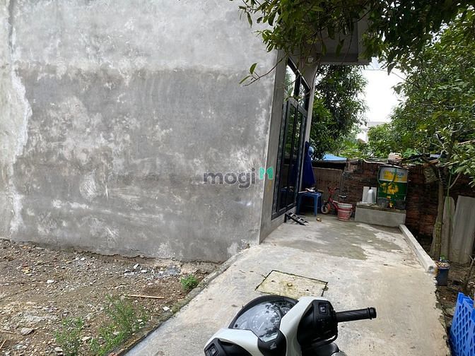 Hình ảnh Chỉ 1 tỉ nhỉnh có ngay  52.7m² đất thổ cư thôn Bến Chung, xã Bắc Hồng
