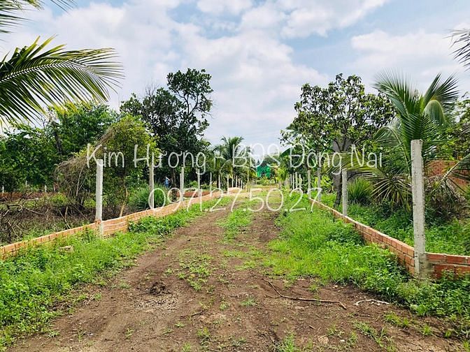 Hình ảnh 3 sào đất giá chỉ 1,2triệu/m2 - Đất ở đâu mà rẻ đến thế?
