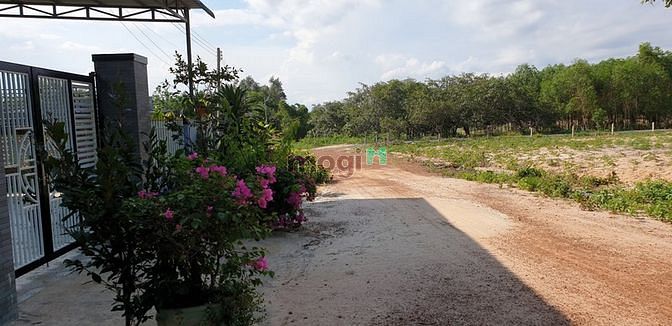 Hình ảnh Bán đất KCN Sơn Mỹ, Hàm Tân, Bình Thuận.
