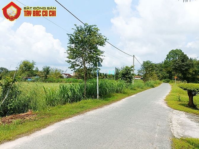 Hình ảnh Đất đường 681 - 1016m2 - 16x65 - 315m2 thổ cư - xã Thái Mỹ - Củ Chi