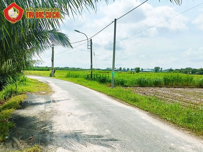 Hình ảnh Đất đường 681 - 1016m2 - 16x65 - 315m2 thổ cư - xã Thái Mỹ - Củ Chi