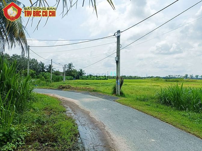 Hình ảnh Đất đường 681 - 1016m2 - 16x65 - 315m2 thổ cư - xã Thái Mỹ - Củ Chi