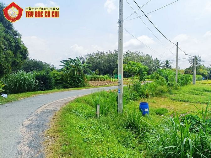 Hình ảnh Đất đường 681 - 1016m2 - 16x65 - 315m2 thổ cư - xã Thái Mỹ - Củ Chi