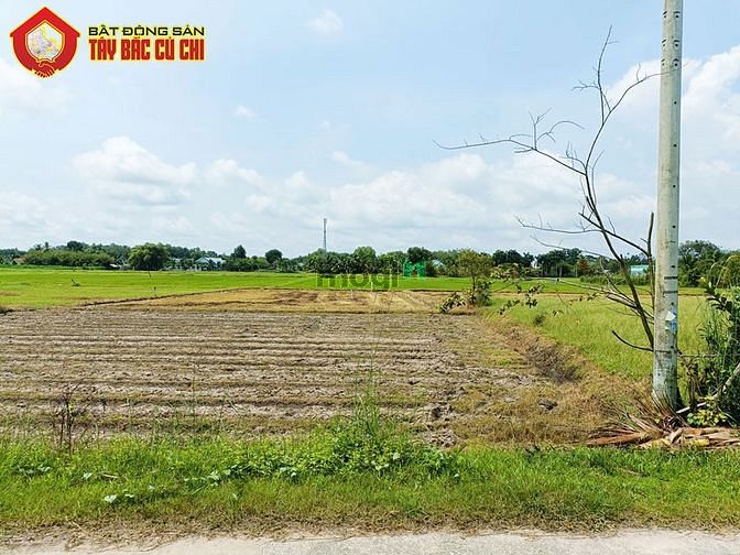 Hình ảnh Đất đường 681 - 1016m2 - 16x65 - 315m2 thổ cư - xã Thái Mỹ - Củ Chi