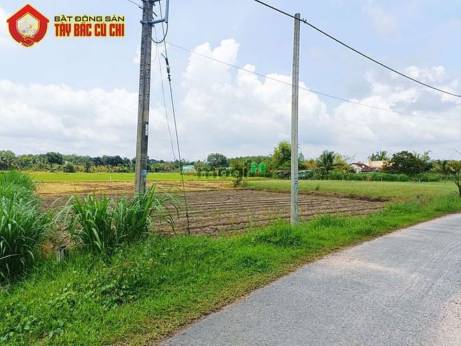 Hình ảnh Đất đường 681 - 1016m2 - 16x65 - 315m2 thổ cư - xã Thái Mỹ - Củ Chi