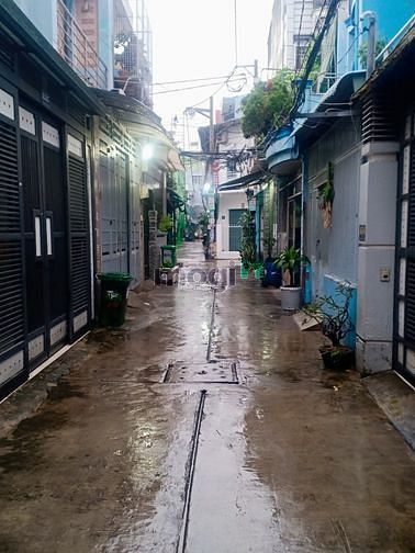 Hình ảnh Cho Thuê Nhanh Nhà 4 Tấm Lê Văn Quới