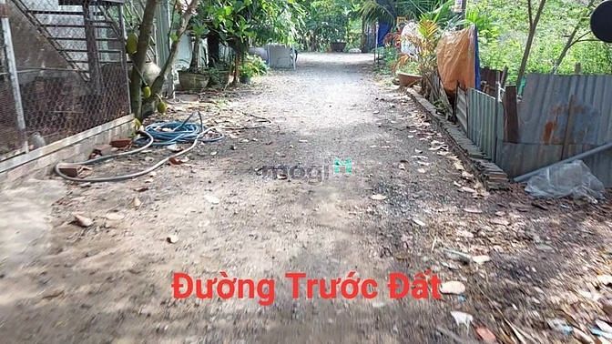 Hình ảnh Chính Chủ Cần Bán Lô Đất Vườn MT Bà Cả Gía Tốt
