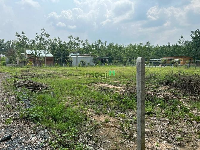 Hình ảnh Bán 2 lô đất 5x30m thổ cư hết đất, cách nhựa 400m ở Thạnh Đức, Gò Dầu.