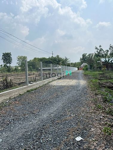 Hình ảnh Bán 2 lô đất 5x30m thổ cư hết đất, cách nhựa 400m ở Thạnh Đức, Gò Dầu.