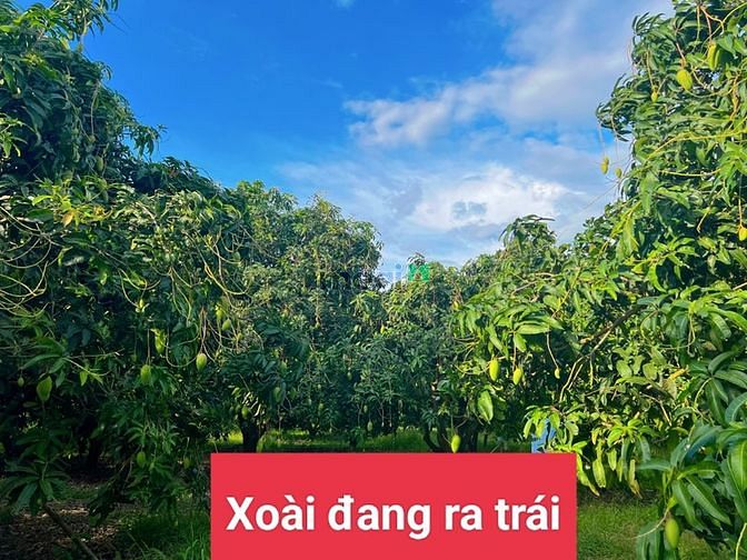 Hình ảnh Bán gấp mảnh đất ngay sau Uỷ Ban xã La Ngà