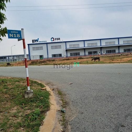 Hình ảnh cần tiền nay tôi cần bán gấp miếng đất ở thới hòa bến cát bd 150m2