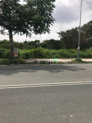 Hình ảnh Cần sang gấp lô đất nằm ngay đường Trần Phú, Q5, SHR, giá 2tỷ55/100m2.