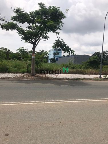 Hình ảnh Cần sang gấp lô đất nằm ngay đường Trần Phú, Q5, SHR, giá 2tỷ55/100m2.