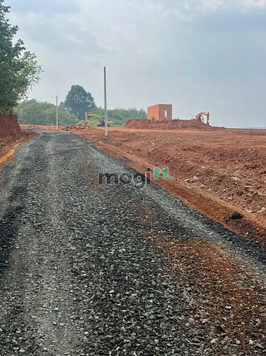 Hình ảnh Bán đất sào Tân Phước, Đồng Phú, Bình Phước chính chủ