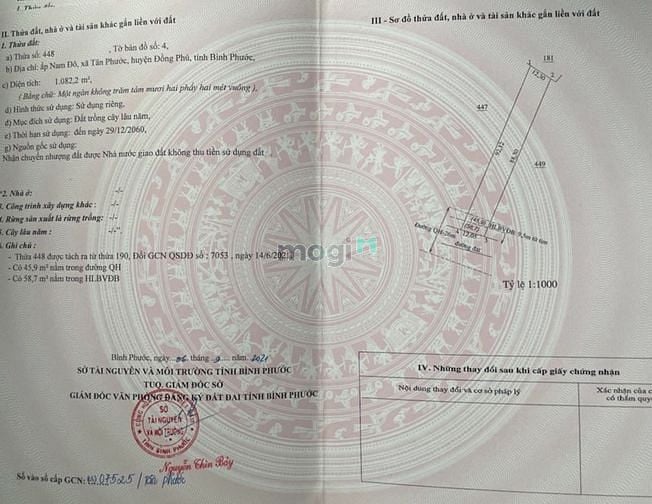 Hình ảnh Bán đất sào Tân Phước, Đồng Phú, Bình Phước chính chủ