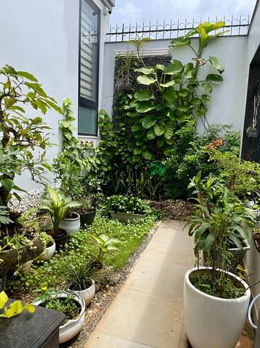 Hình ảnh Biệt thự mới khu An Phú An Khánh P. Ap Q.2; 4 Pn, đầy đủ nội thất