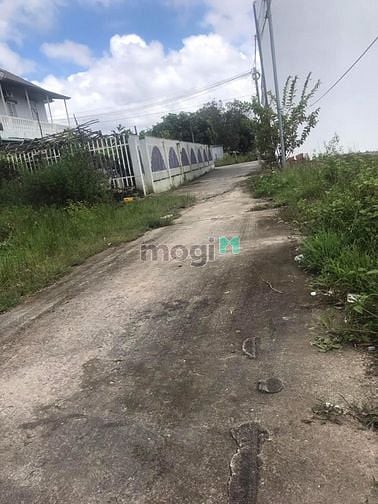 Hình ảnh Một lô đất đẹp giá rẻ nhất cây thông trong TP. phú quốc.