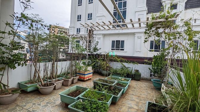 Hình ảnh Cho thuê nhà hẻm xe hơi Quận 1 4PN 5WC