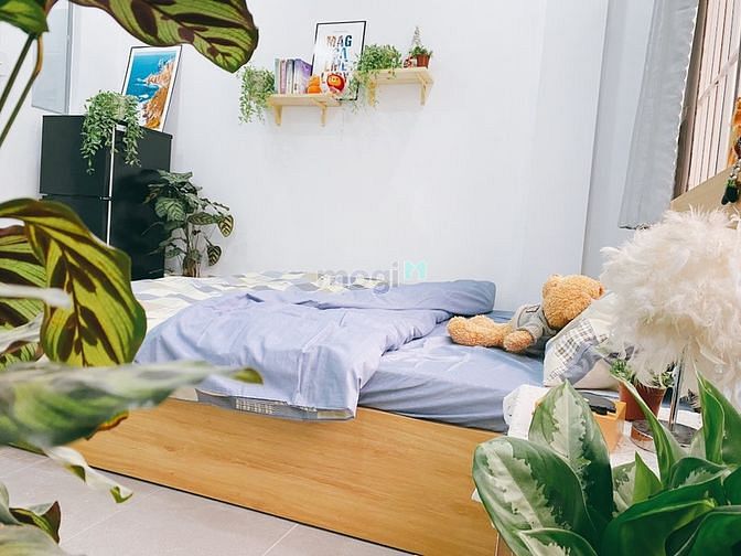 Hình ảnh Cho thuê Trang Chủ MB66.COM / Đăng Ký Tặng 66K Studio mới 100% Phường 2 Bình Thạnh gần HÀNG XANH