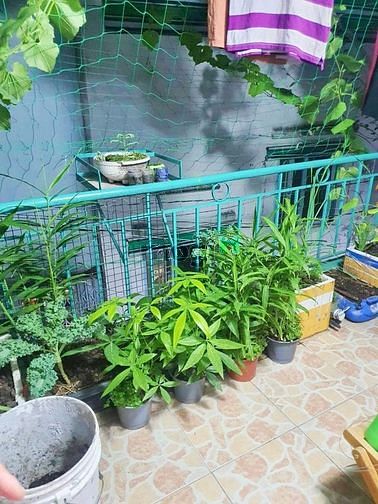 Hình ảnh Bán Nhà Hẻm 3G - Phan Anh - Bình Tân - 2 Tầng 5Mx9M - Nhỉnh 2 Tỷ.