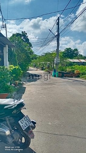 Hình ảnh _ nhà cho thuê nguyên căn vĩnh phú