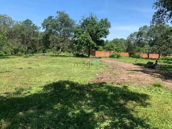 Hình ảnh Hiền Hồ mở bán lô đất vườn tại Định Quán – Đồng Nai