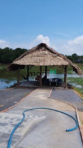 Hình ảnh Cà phê sáng ở khu nhà vườn Định Quán – Đồng Nai