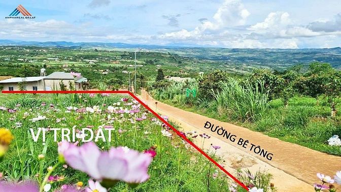 Hình ảnh Đất view mây đồi xã Đan Phượng, Lâm Hà-vị trí nghỉ dưỡng giá 1 không 2