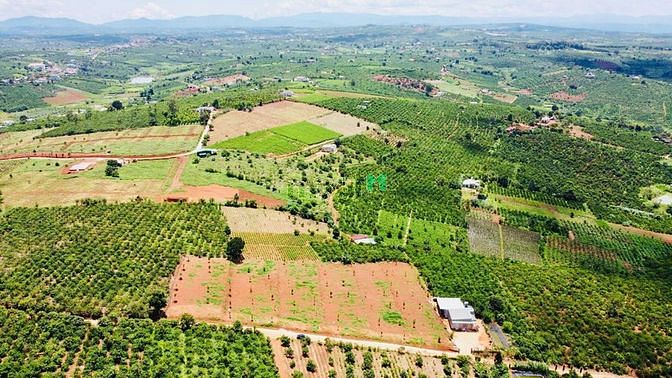 Hình ảnh Đất view mây đồi xã Đan Phượng, Lâm Hà-vị trí nghỉ dưỡng giá 1 không 2