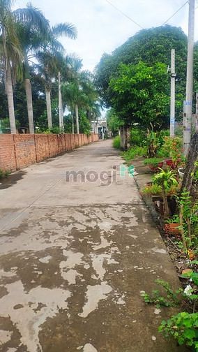 Hình ảnh Chính chủ cần bán gấp lô đất có nhà cấp bốn tại Vĩnh Hòa, Phú Giáo, Bì