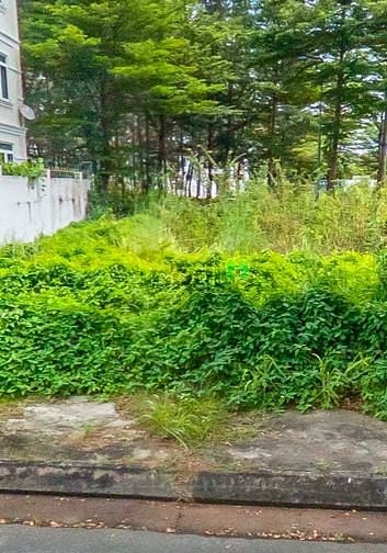 Hình ảnh Chủ tôi cần ra gấp lô đất đẹp 105m2 giá 2tỷ550 , Hiệp Bình Chánh