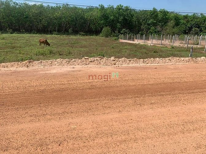 Hình ảnh đất thổ cư View hồ, tiềm năng Trang MB66.COM Chính Thức - MB 66 Uy Tín sinh lời 35%