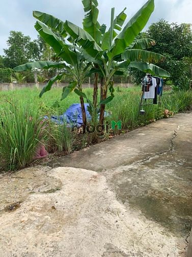Hình ảnh Bán đất 82m2 phía sau chợ Hưng Long