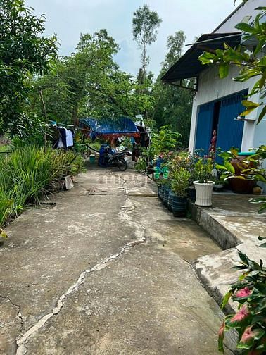 Hình ảnh Bán đất 82m2 phía sau chợ Hưng Long