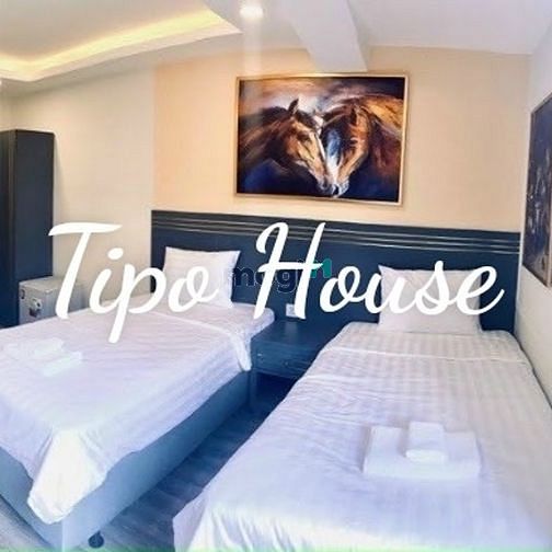 Hình ảnh Cho thuê tòa nhà CHDV MT Nguyễn Thái Bình, Q1
