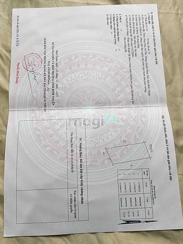 Hình ảnh Đất Mặt Tiền Biển Cù Mi bám biển 55 m. Giá 28 tỷ