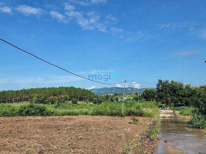 Hình ảnh Bán 2 sào Lộc Thành, TP. Bảo Lộc. Mới làm đường bê tông, bao lên thổ c