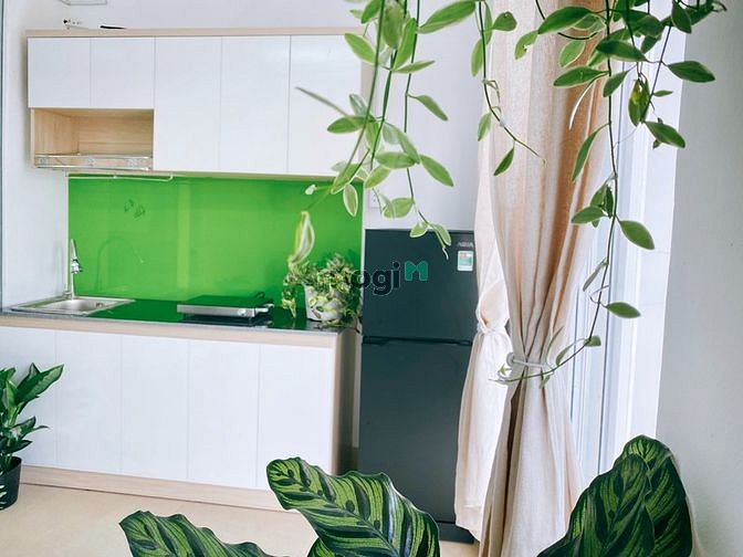 Hình ảnh Cho thuê Trang Chủ MB66.COM / Đăng Ký Tặng 66K 1PN-1PK Vạn Kiếp Quận Bình Thạnh gần Phan Xích Long
