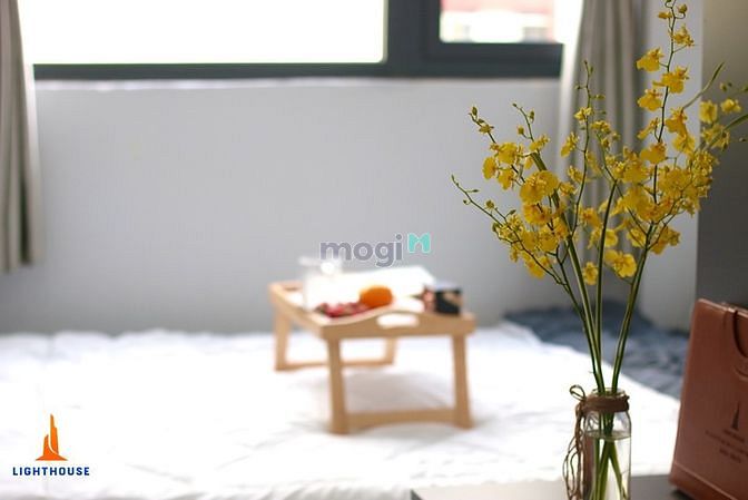 Hình ảnh Siêu Phẩm Studio Full Nội Thất_Gần Công Viên Gia Định_Phú Nhuận