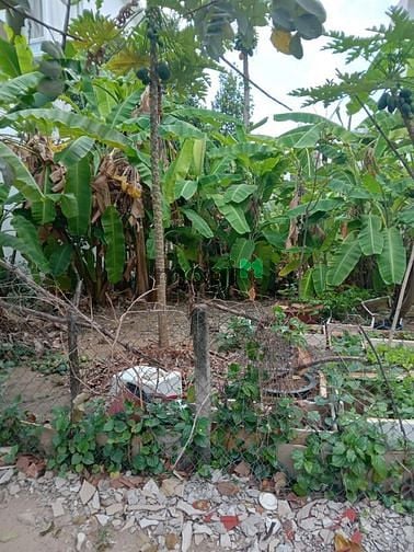 Hình ảnh Cho thuê Đất gần Lương Định Của P. Bình An Q2, 252m2, đường 12m