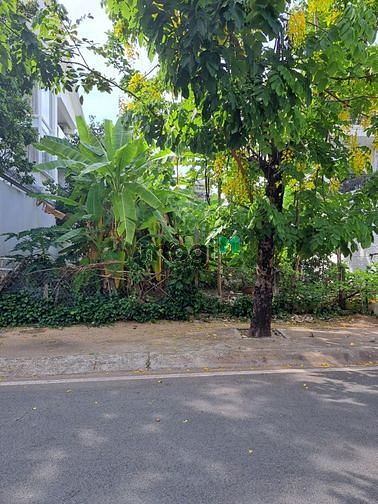 Hình ảnh Cho thuê Đất gần Lương Định Của P. Bình An Q2, 252m2, đường 12m