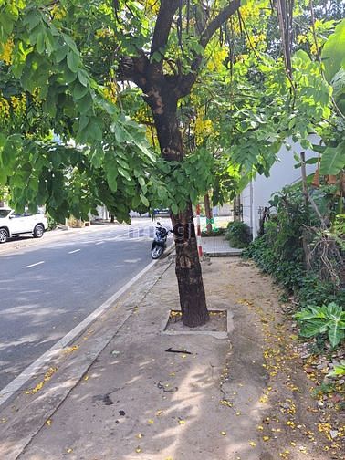Hình ảnh Cho thuê Đất gần Lương Định Của P. Bình An Q2, 252m2, đường 12m