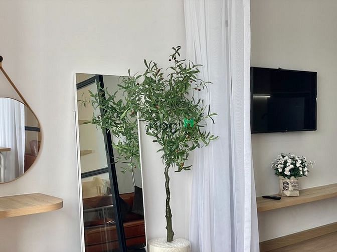Hình ảnh CHDV 1PN Phú Nhuận-MG Riêng-Cho nuôi PET-Chỉ tính ĐIỆN