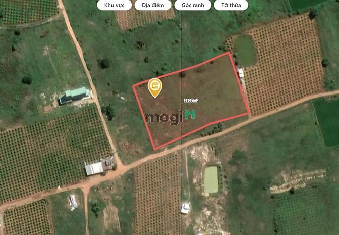 Hình ảnh Cần bán lô đất 5768m2 Hải Ninh - Bắc Bình, cách cao tốc 1,3km gần dân