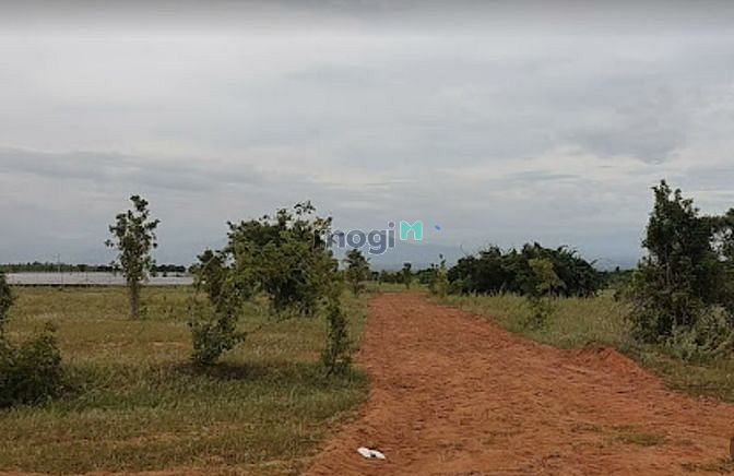 Hình ảnh Cần bán lô đất 5768m2 Hải Ninh - Bắc Bình, cách cao tốc 1,3km gần dân