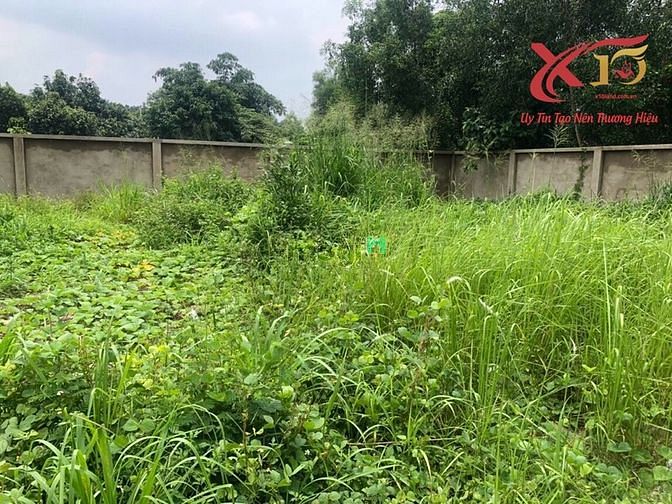Hình ảnh Bán 1000m2 đất QH ODT Phước tân, Biên Hòa, Đồng Nai