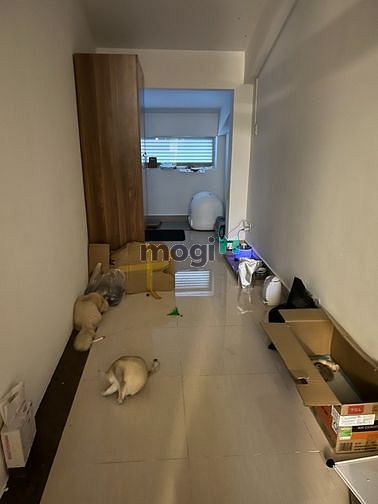Hình ảnh Penhouse sân vườn Full nội thất Quận 7