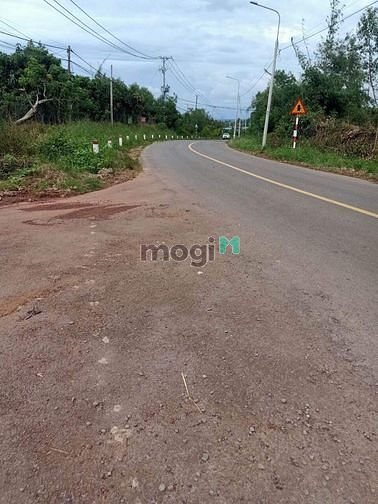Hình ảnh Bán mảnh đất nhà mua năm 2020 rộng 1000m2 vuông đẹp
